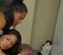 http://namethatpornstar.com/thread.php?id=2223889